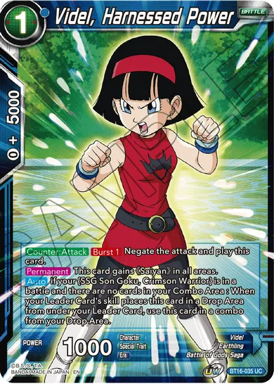 VIDEL, HARNESSED POWER