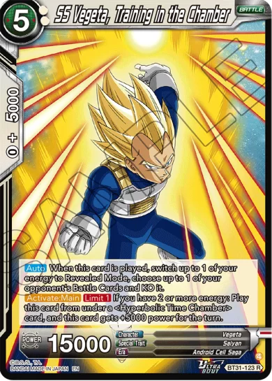 SS VEGETA, TRAINING IN THE CHAMBER