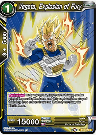 VEGETA, EXPLOSION OF FURY